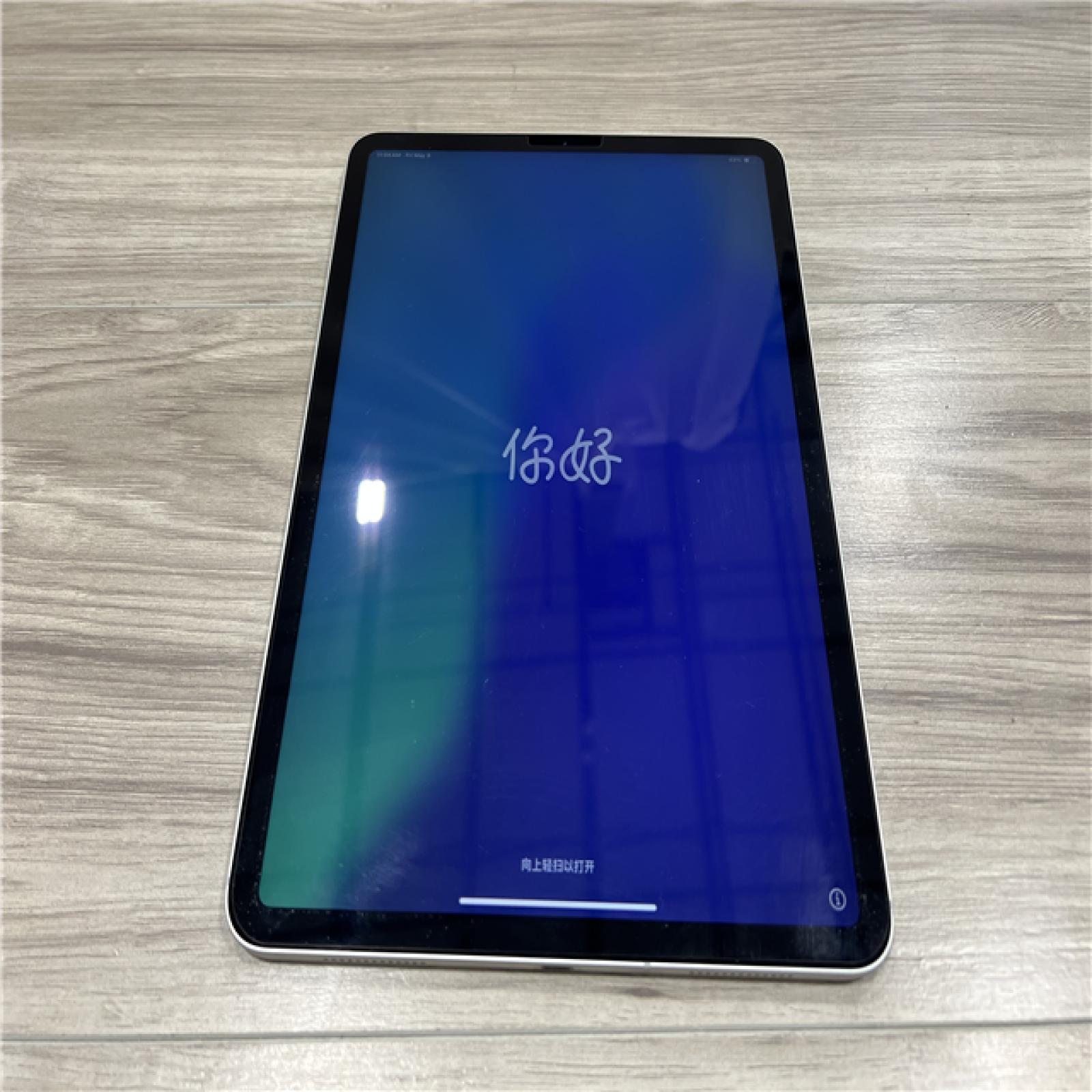 AS-IS Apple iPad Pro 11-inch 1TB(2nd generation)