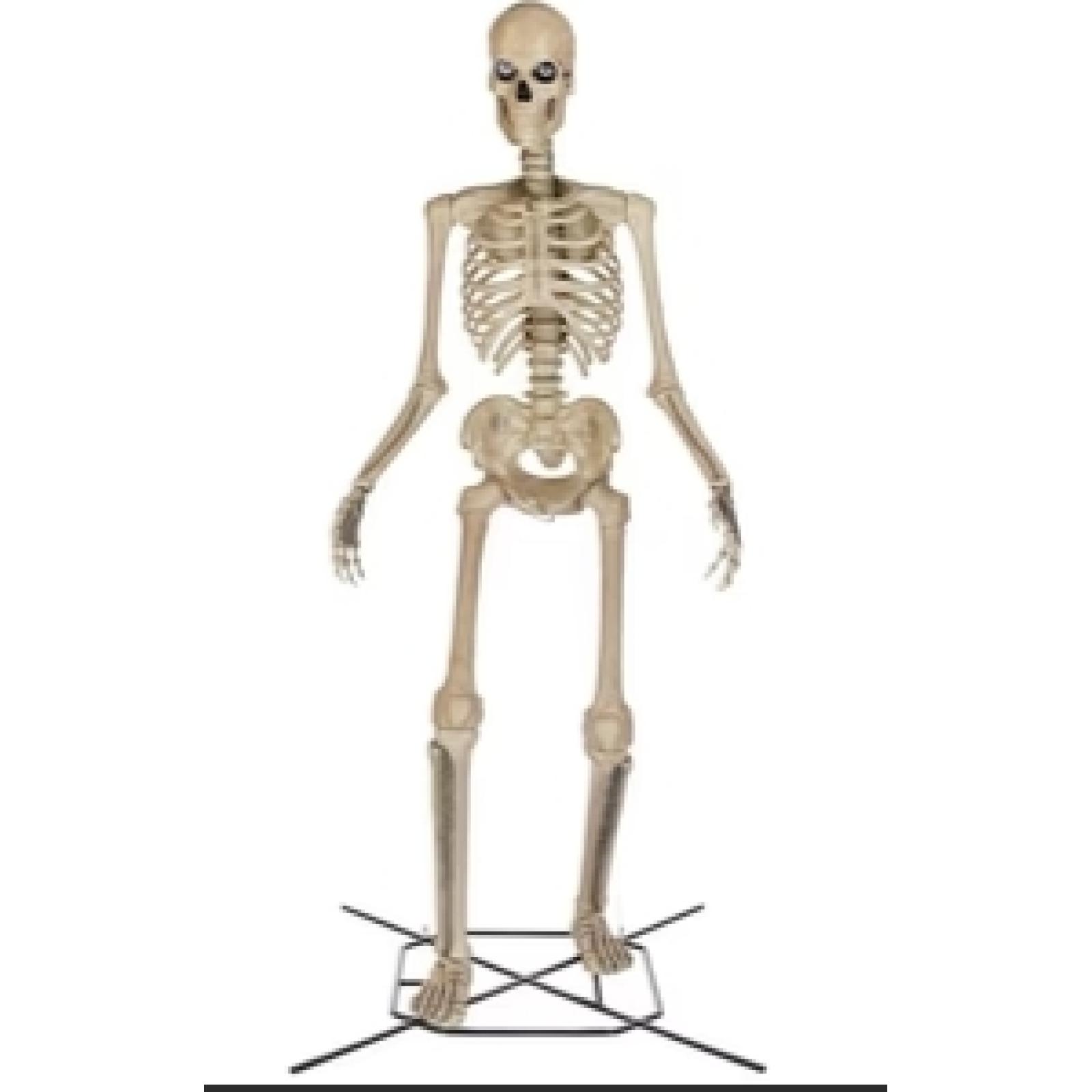 DALLAS LOCATION- AS-IS  Home Accents Holiday 12 ft. Skelly With Servo