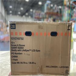 DALLAS LOCATION - Home Accents Holiday 12 ft. Grave & Bones Giant-Sized Skelly with LifeEyes™ LCD Eyes H5