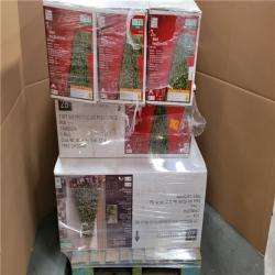 California AS-IS Holiday Pallet