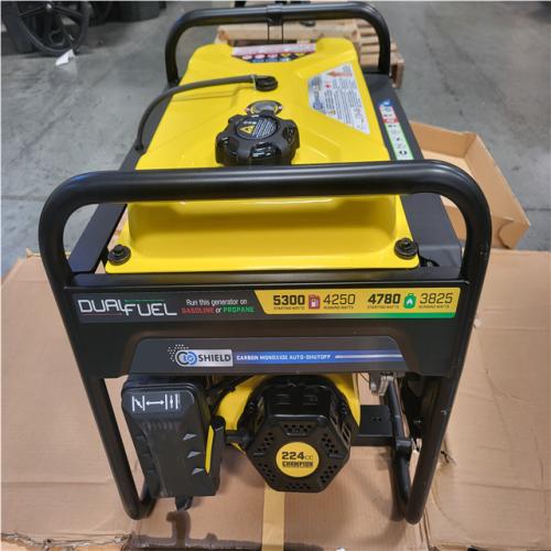 CALIFORNIA NEW CHAMPION GENERATOR