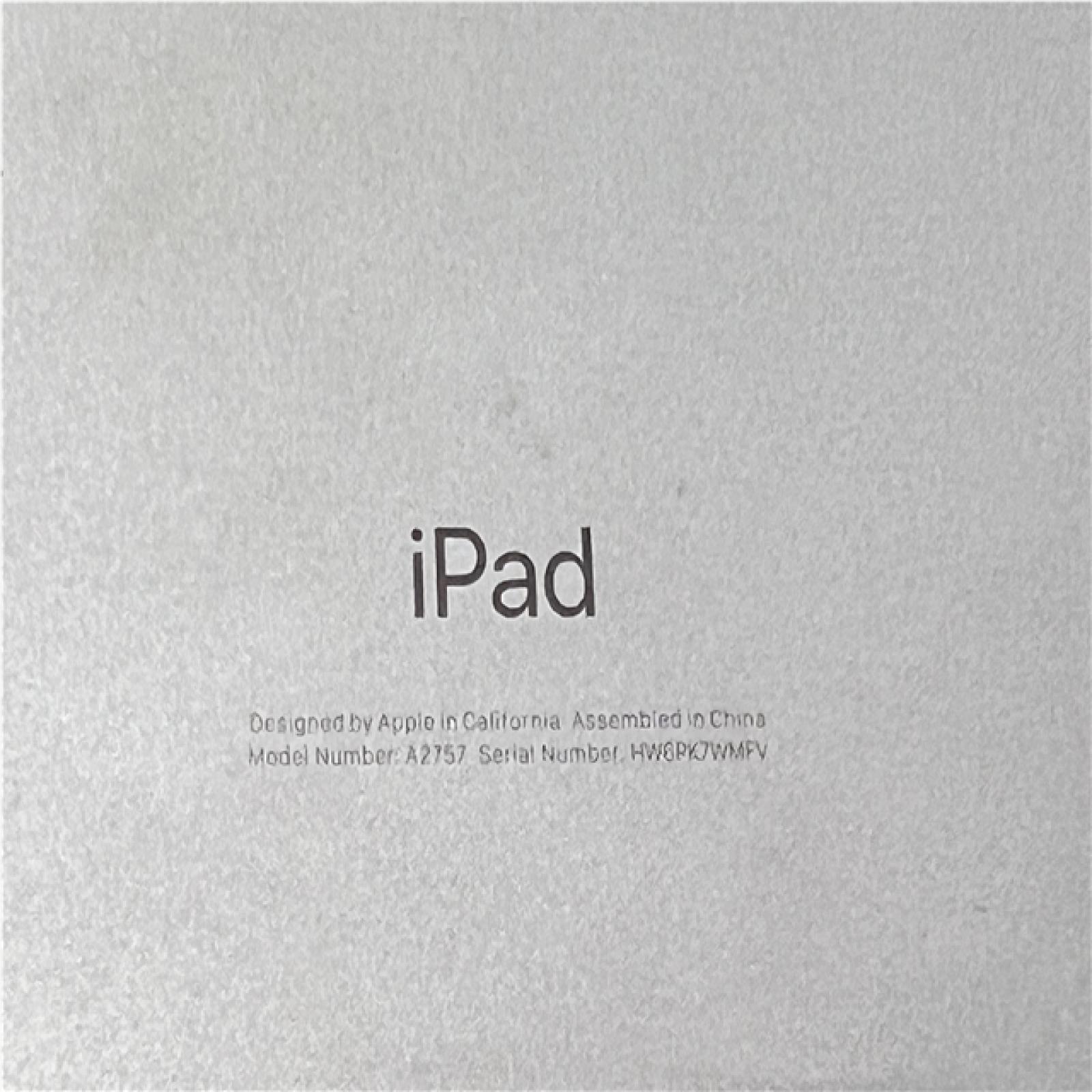 AS-IS Apple iPad (10th Generation) 256GB Silver