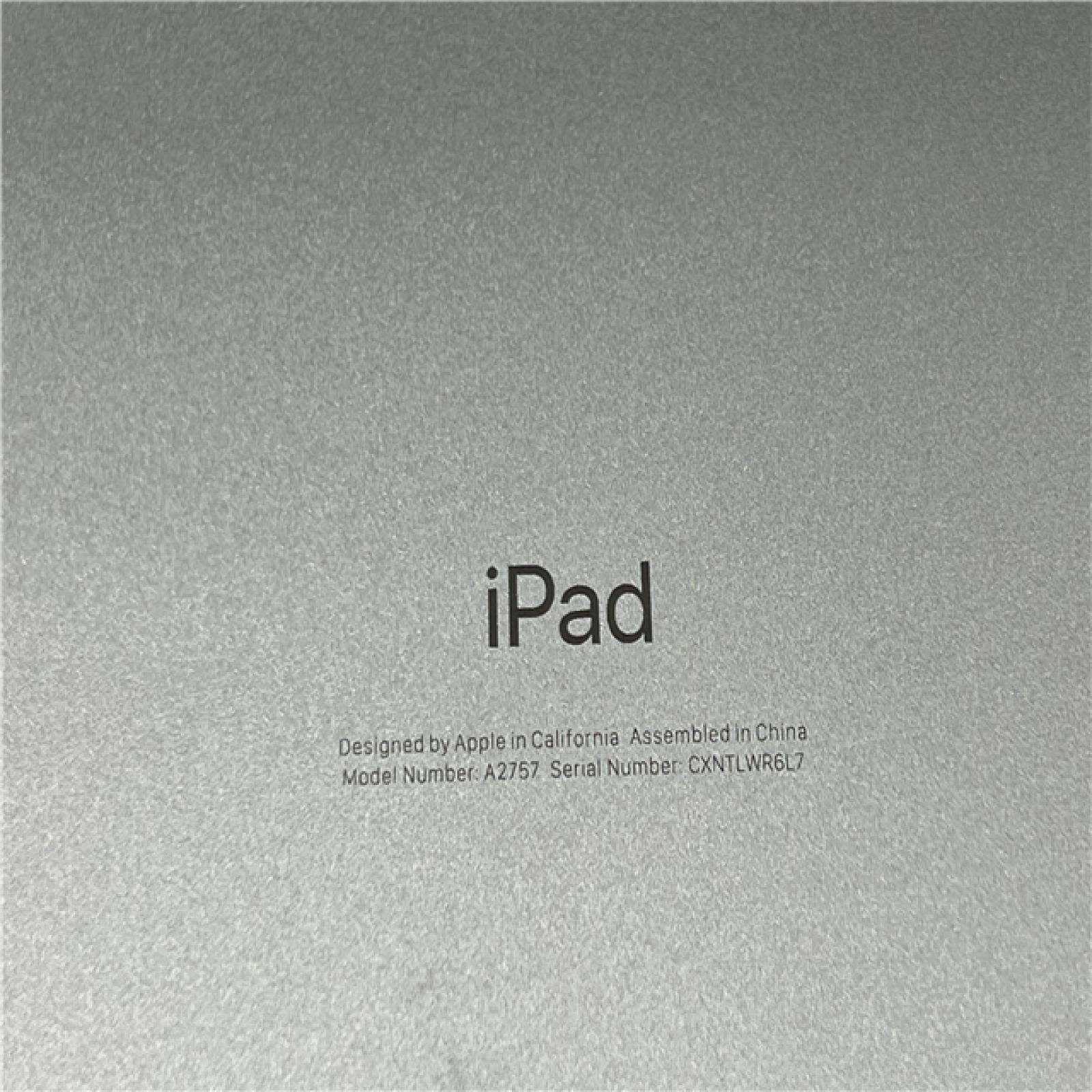 AS-IS Apple iPad 10th Gen 256GB Silver Cellular MQ6T3LL/a