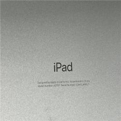 AS-IS Apple iPad 10th Gen 256GB Silver Cellular MQ6T3LL/a