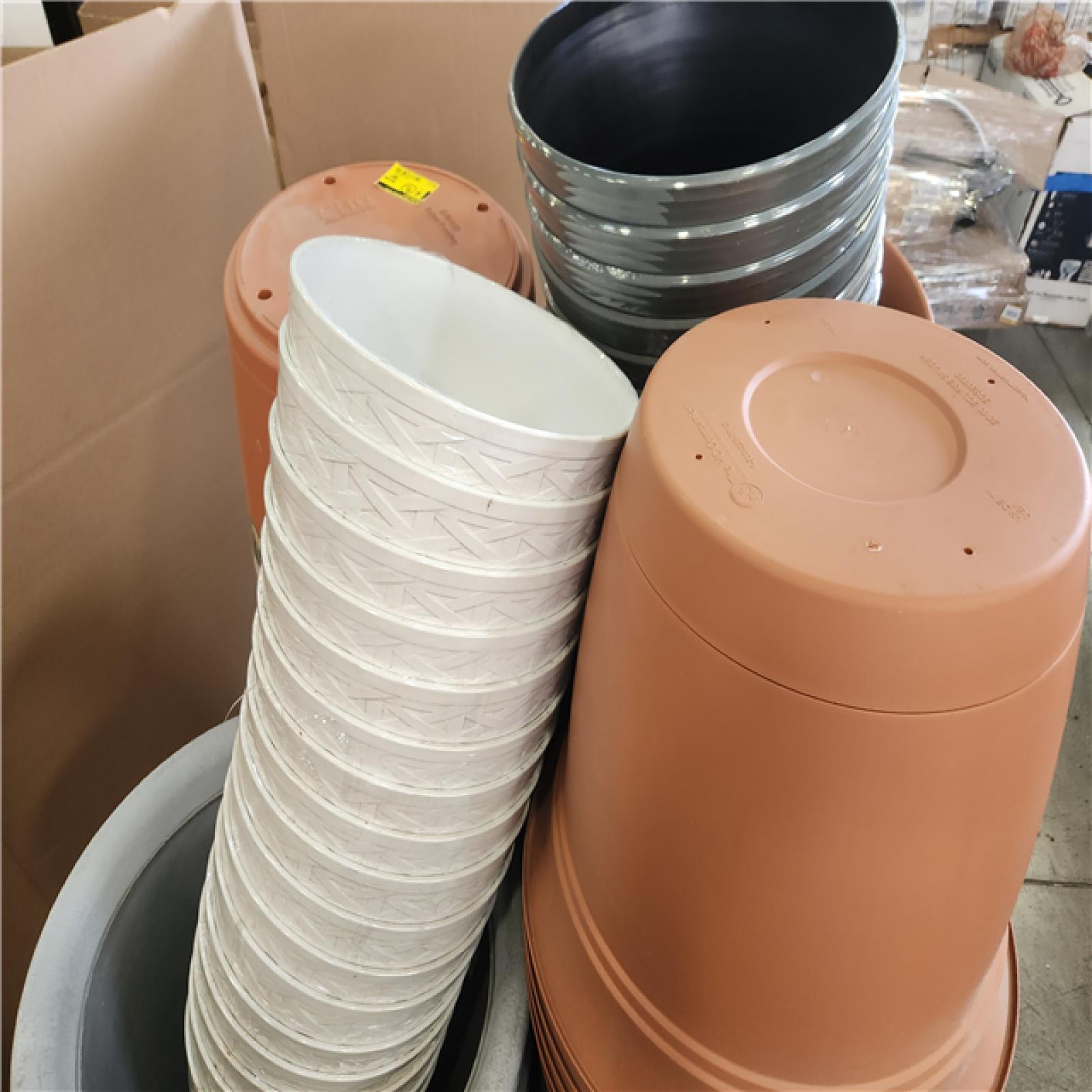 Phoenix NEW Mixed Planters (Large and Extra Large)