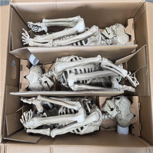 CALIFORNIA AS IS POSE AND STAY SKELETON 3 PACK