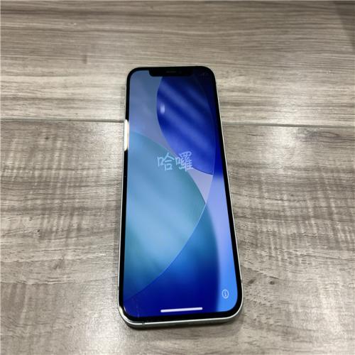 AS-IS Apple iPhone 12 Green 64GB MGEQ3LL/A