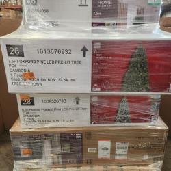 Phoenix AS-IS Christmas Pallet