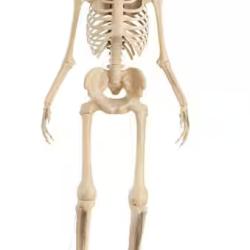 DALLAS LOCATION - Home Accents Holiday 12 ft. Grave & Bones Giant-Sized Skelly with LifeEyes™ LCD Eyes H5