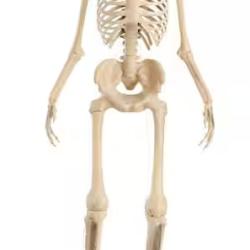 DALLAS LOCATION - AS-IS Home Accents Holiday 12 ft. Grave & Bones Giant-Sized Skelly with LifeEyes™ LCD Eyes H5