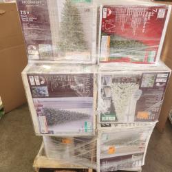 Phoenix AS-IS Christmas Pallet