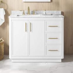 Phoenix NEW Home Decorators Collection Tamsin 42 in. Single Sink Freestanding White Bath Vanity with White Round Corner Engineered Marble Top (Assembled)