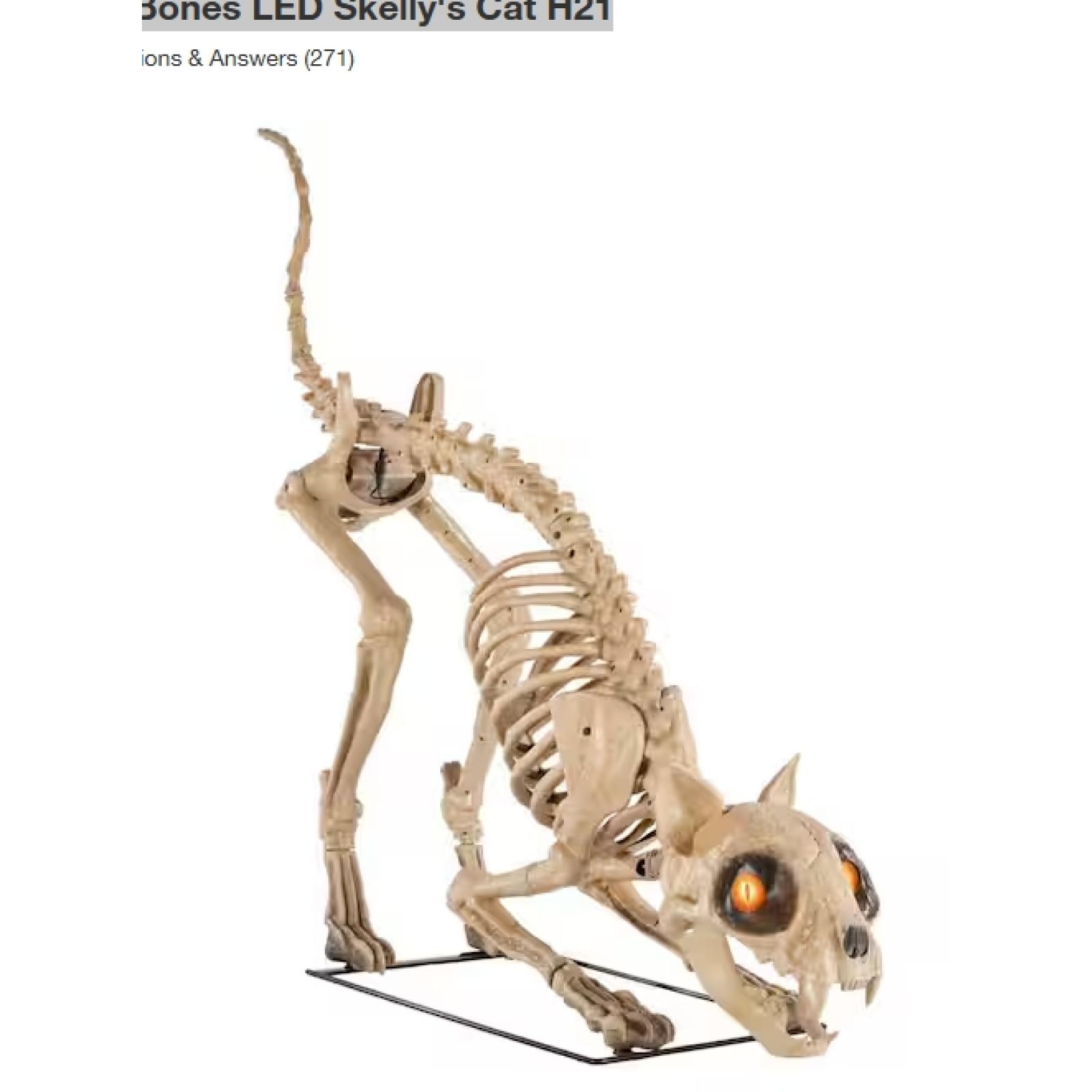 DALLAS LOCATION - AS-IS Home Accents Holiday 5 ft. Long Grave & Bones LED Skelly's Cat H21
