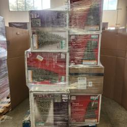 Phoenix AS-IS Christmas Pallet