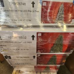 Phoenix AS-IS Christmas Pallet