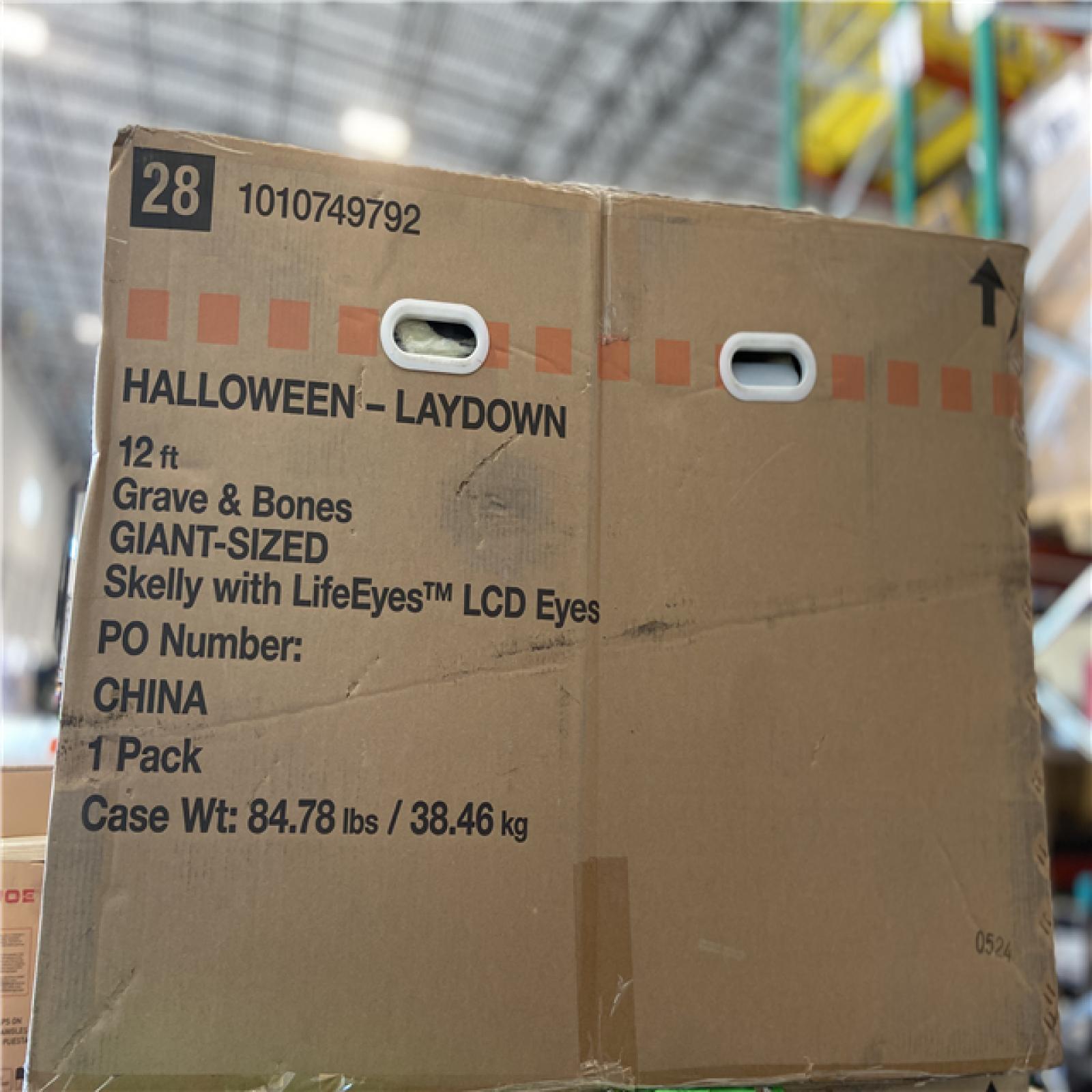 DALLAS LOCATION - Home Accents Holiday 12 ft. Grave & Bones Giant-Sized Skelly with LifeEyes™ LCD Eyes H5