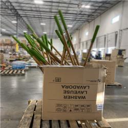 DALLAS LOCATION- AS-IS AMES 54 in. Hardwood Handle 19-Tine Adjustable Thatch Rake PALLET (36 UNITS)