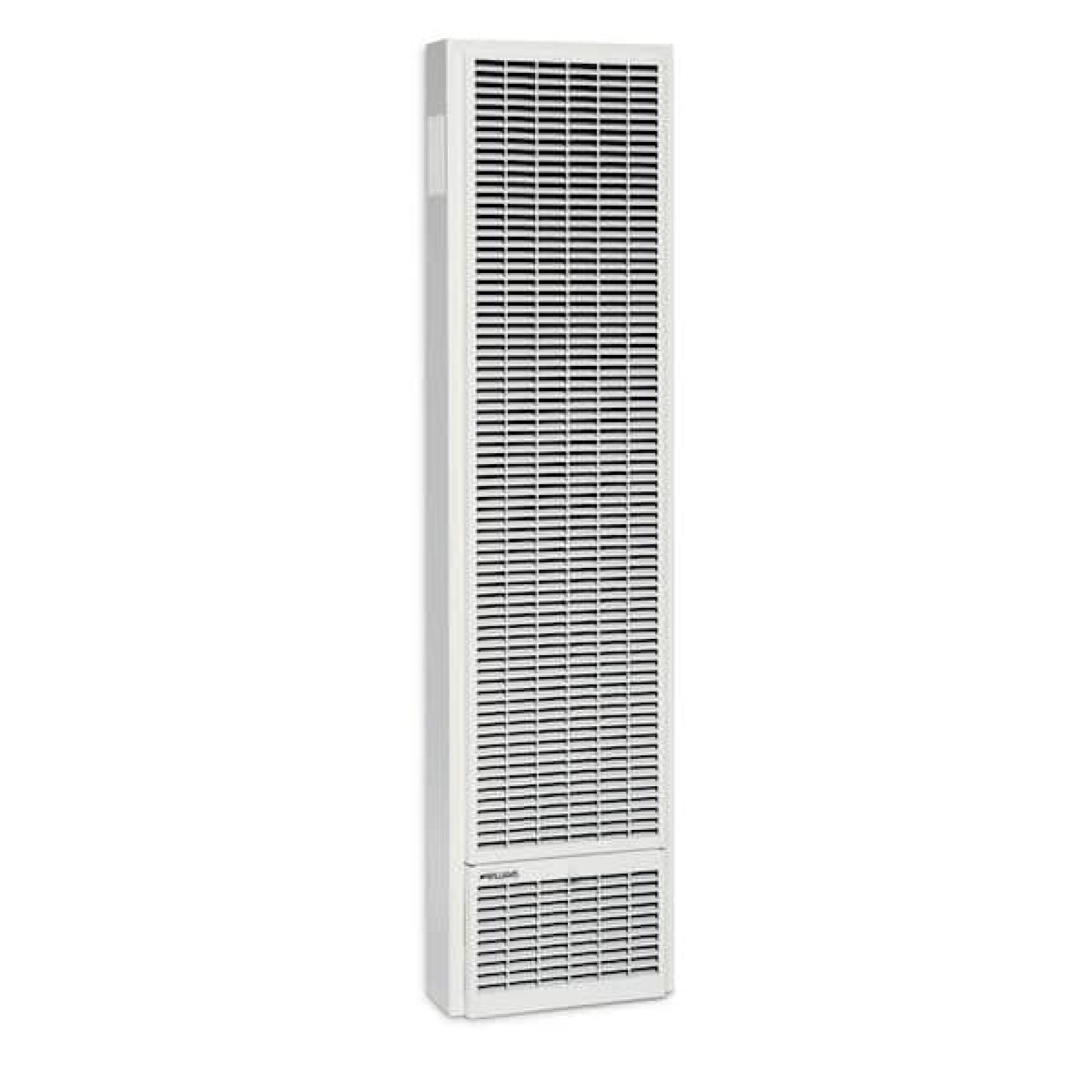 Phoenix NEW TG2030TN 82% AFUE Top Vent Gas Wall Furnace.