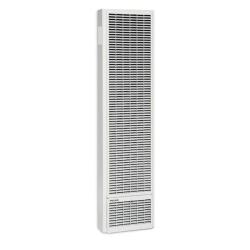 Phoenix NEW TG2030TN 82% AFUE Top Vent Gas Wall Furnace.