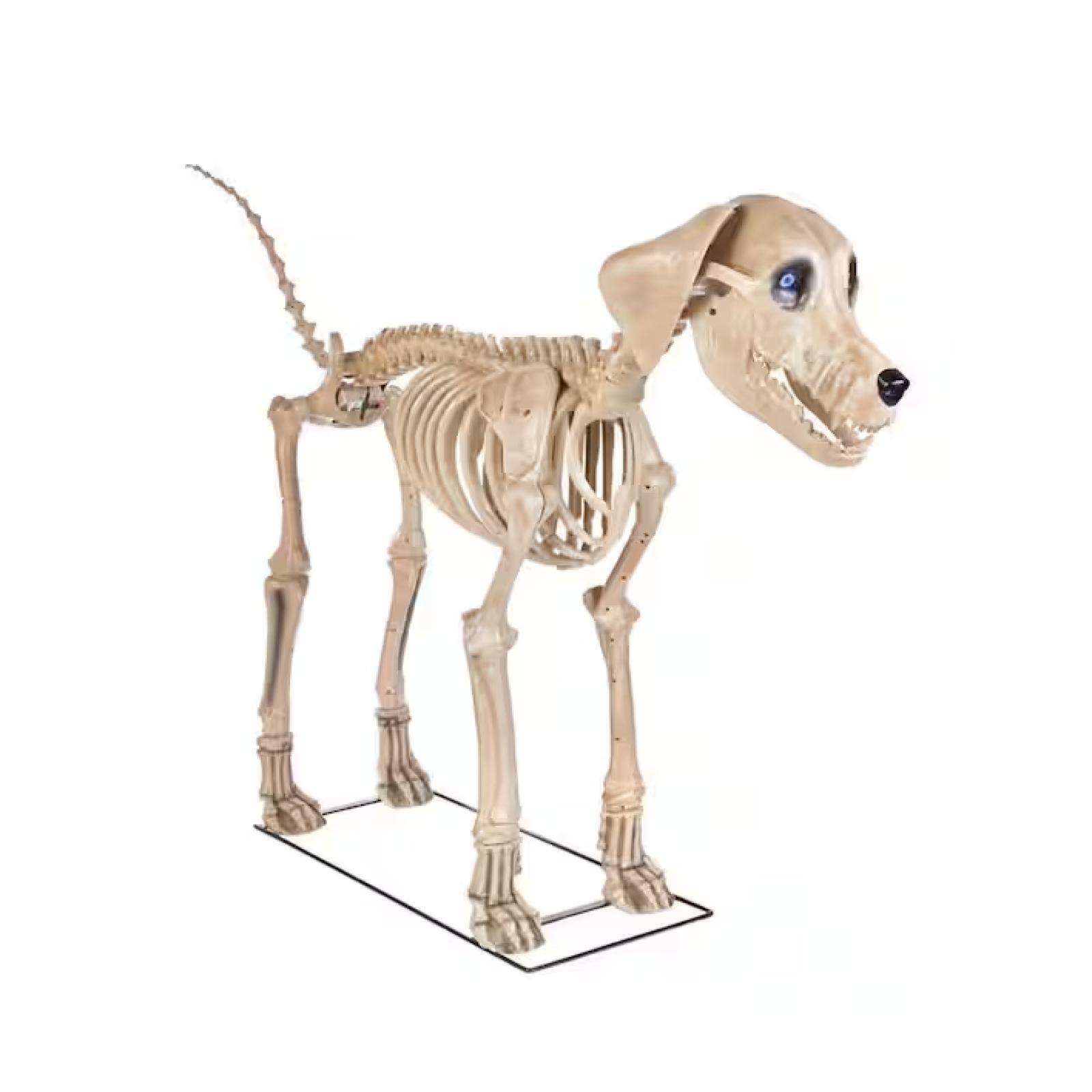 DALLAS LOCATION - Home Accents Holiday 7 ft. Long Grave & Bones Skelly's Dog with LifeEyes LCD Eyes