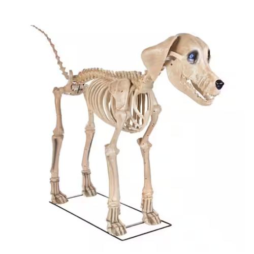 DALLAS LOCATION - Home Accents Holiday 7 ft. Long Grave & Bones Skelly's Dog with LifeEyes LCD Eyes