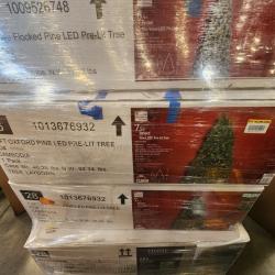 Phoenix AS-IS Christmas Pallet