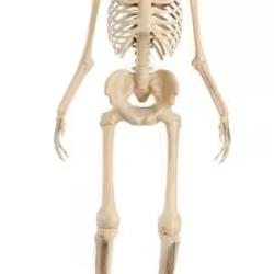 DALLAS LOCATION - AS-IS Home Accents Holiday 12 ft. Grave & Bones Giant-Sized Skelly with LifeEyes™ LCD Eyes H5