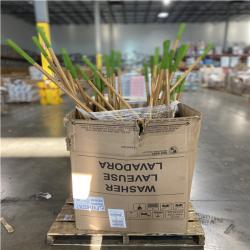 DALLAS LOCATION- AS-IS AMES 54 in. Hardwood Handle 19-Tine Adjustable Thatch Rake PALLET (36 UNITS)