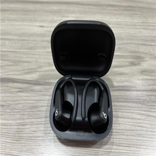 AS-IS Beats - Powerbeats Pro 2 True Wireless Active Noise Canceling Earbuds - Jet Black