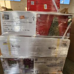 Phoenix AS-IS Christmas Pallet