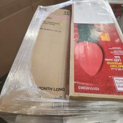 Phoenix AS-IS Christmas Pallet