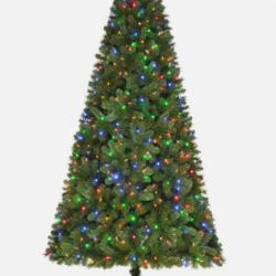 NEW! - Home Accents Holiday 9 ft. Pre-Lit LED Wesley Pine Artificial Christmas Tree