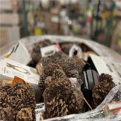 DALLAS LOCATION- AS-IS MONSTER TURBO