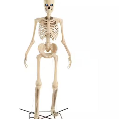 DALLAS LOCATION - Home Accents Holiday 12 ft. Grave & Bones Giant-Sized Skelly with LifeEyes™ LCD Eyes H5