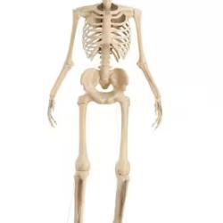 DALLAS LOCATION - Home Accents Holiday 12 ft. Grave & Bones Giant-Sized Skelly with LifeEyes™ LCD Eyes