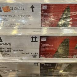 Phoenix AS-IS Christmas Pallet