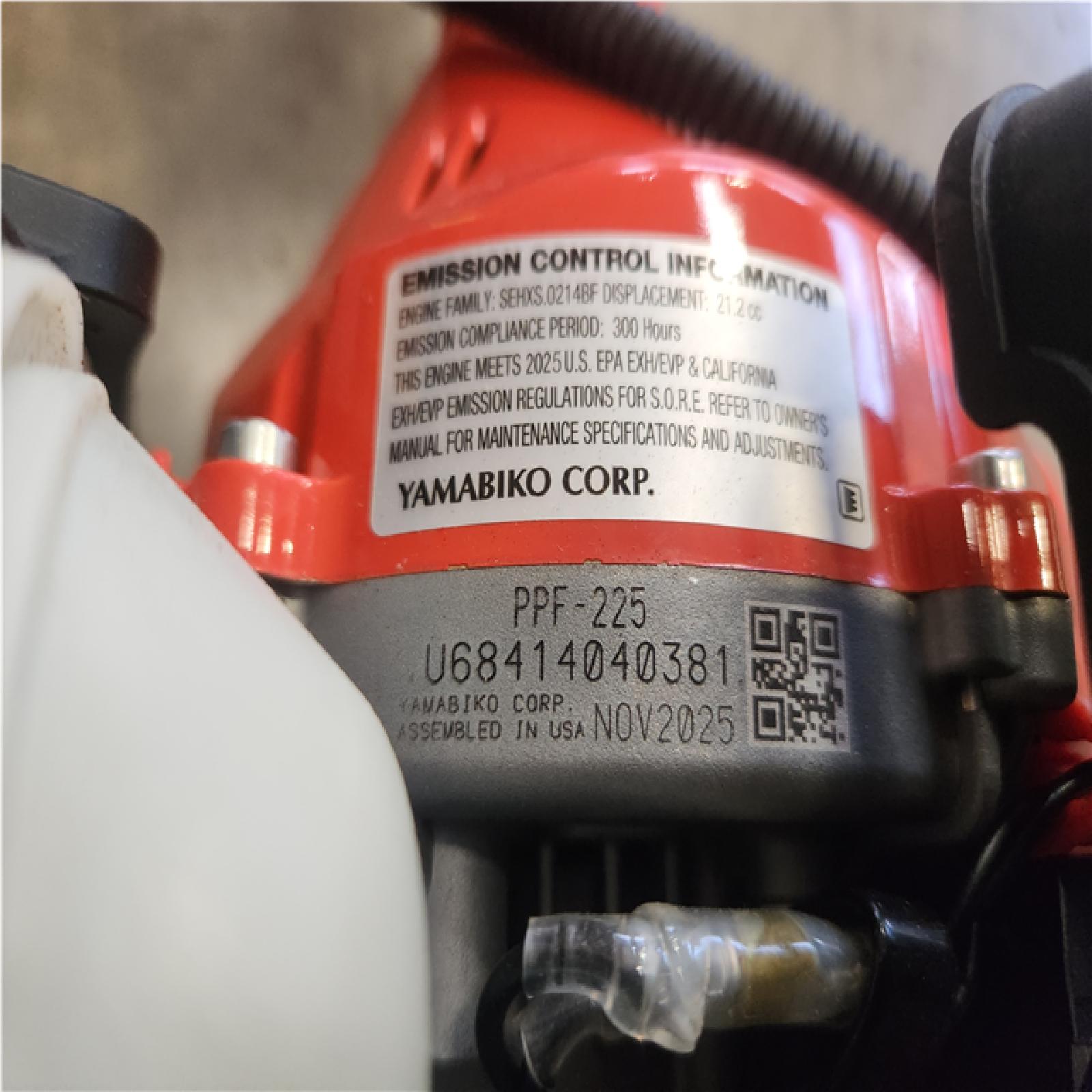 Phoenix NEW ECHO 10 in. 21.2 cc Gas 2-Stroke Power Pole Saw with 94 in. Shaft