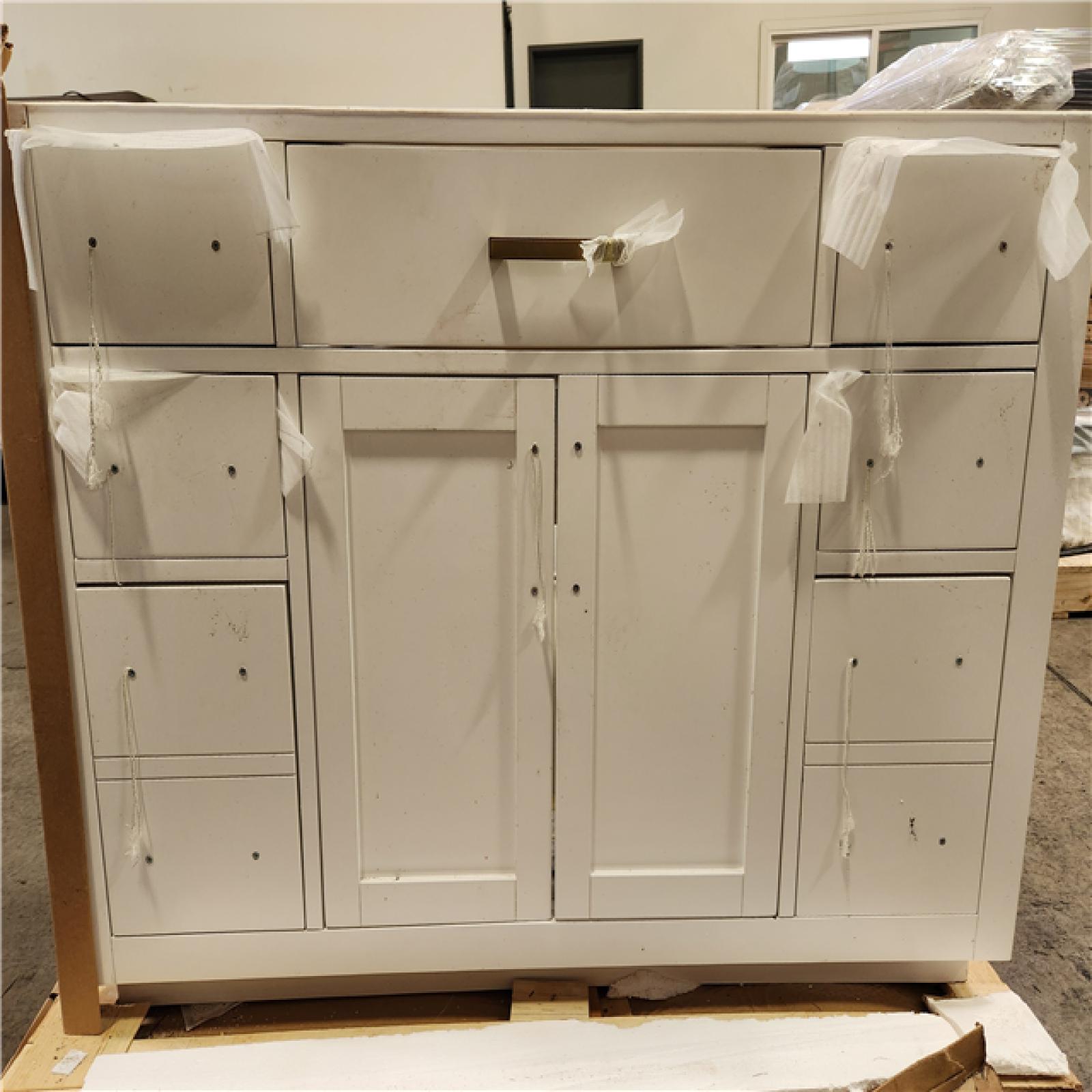 Phoenix Location Altair Ivy 48 in. Bath Vanity in White