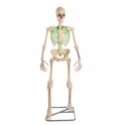 DALLAS LOCATION - Home Accents Holiday 6.5 ft. Grave & Bones Animated LED App Controlled Ultra Skelly with LifeEyes LCD Eyes H23