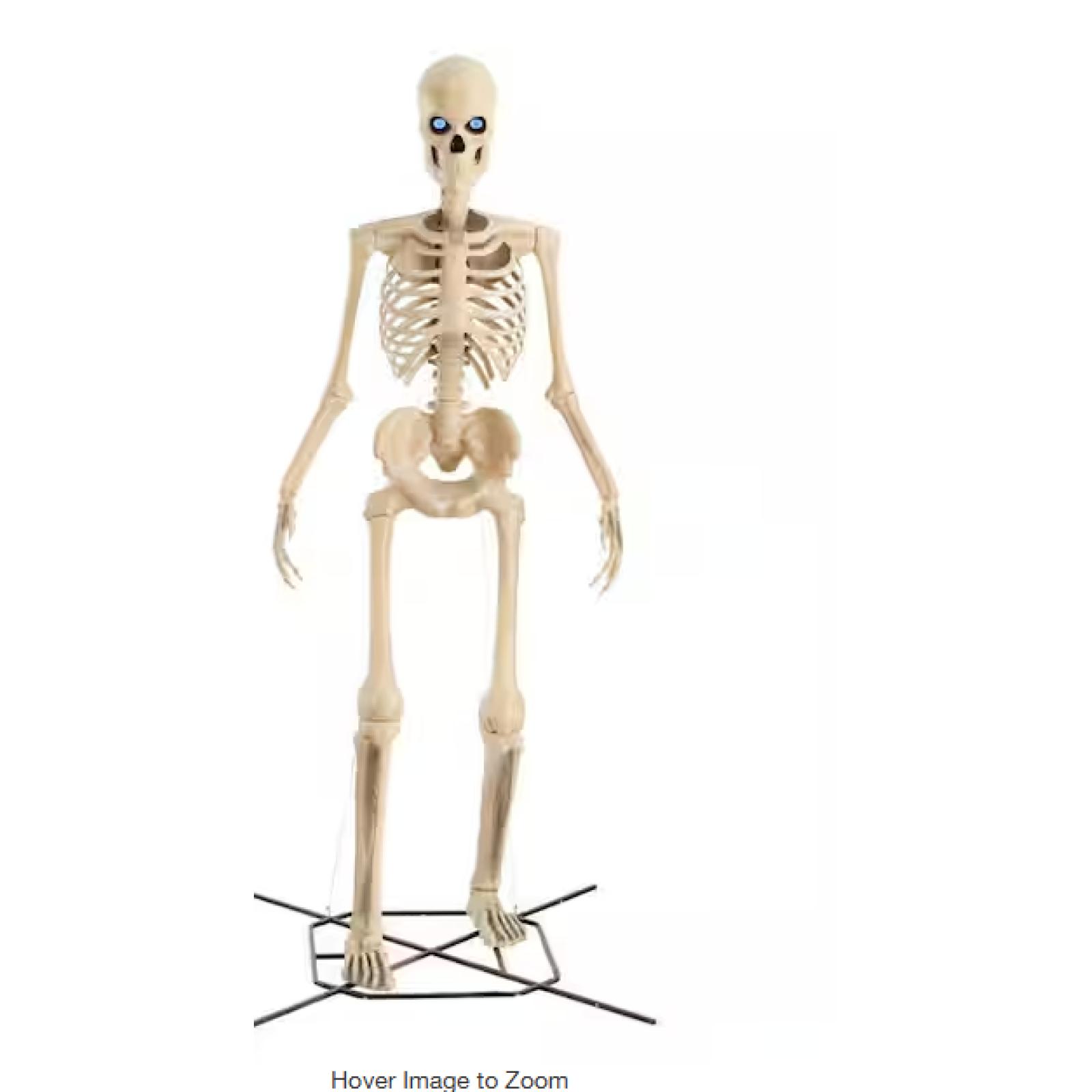 DALLAS LOCATION - Home Accents Holiday 12 ft. Grave & Bones Giant-Sized Skelly with LifeEyes™ LCD Eyes H5