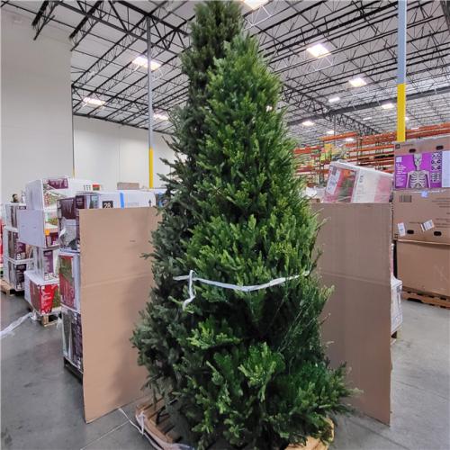 California AS-IS Holiday Pallet