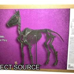 DALLAS LOCATION - Home Accents Holiday 5.5 ft Grave & Bones LED Skeleton Pony