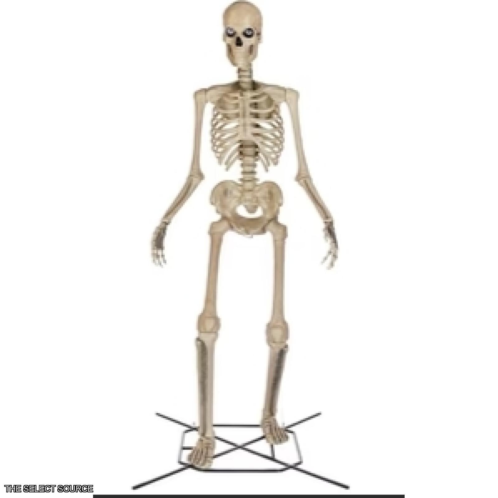 DALLAS LOCATION- AS-IS  Home Accents Holiday 12 ft. Skelly With Servo