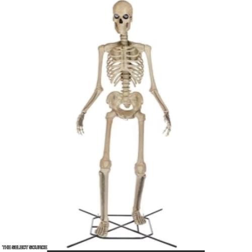 DALLAS LOCATION- AS-IS  Home Accents Holiday 12 ft. Skelly With Servo