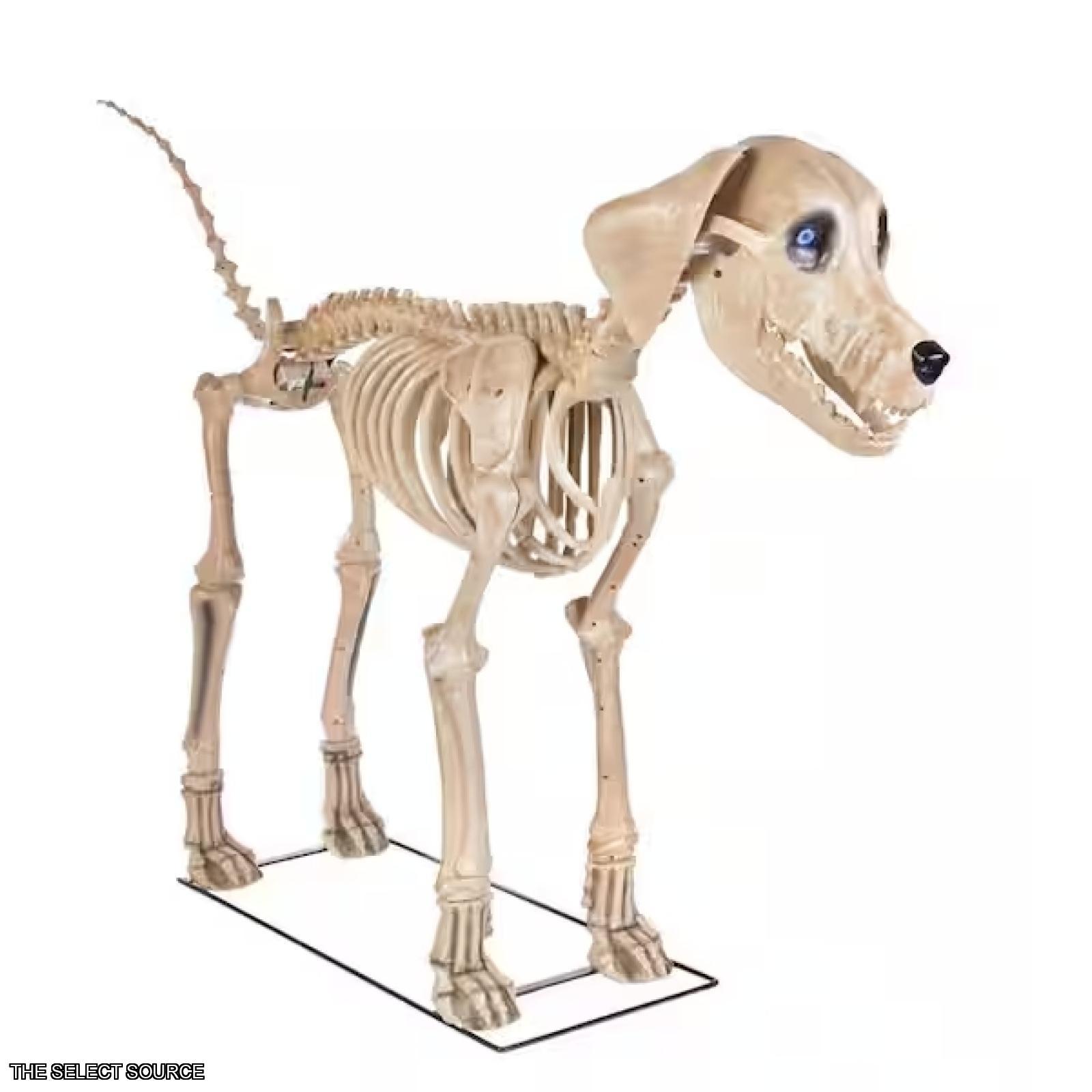 DALLAS LOCATION - Home Accents Holiday 7 ft. Long Grave & Bones Skelly's Dog with LifeEyes LCD Eyes