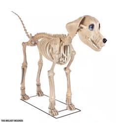 DALLAS LOCATION - Home Accents Holiday 7 ft. Long Grave & Bones Skelly's Dog with LifeEyes LCD Eyes